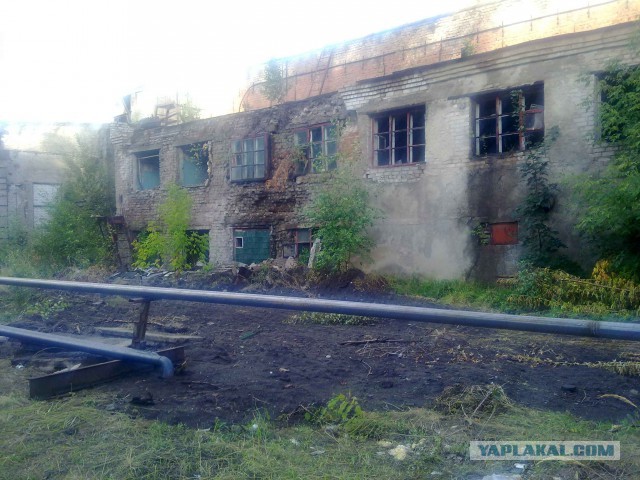 По мотивам С.Т.А.Л.К.Е.Р.а