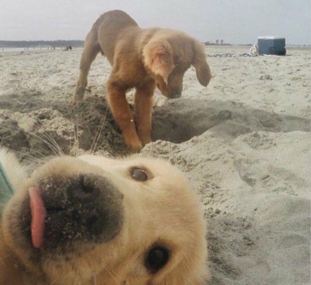 Подборка интересных и веселых картинок