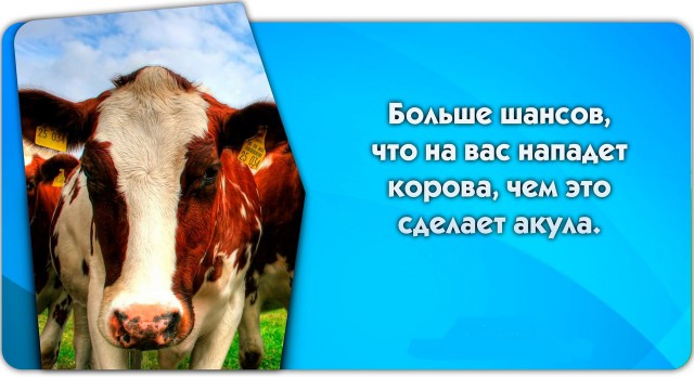 56 неожиданных фактов о большинстве которых вы не знали.