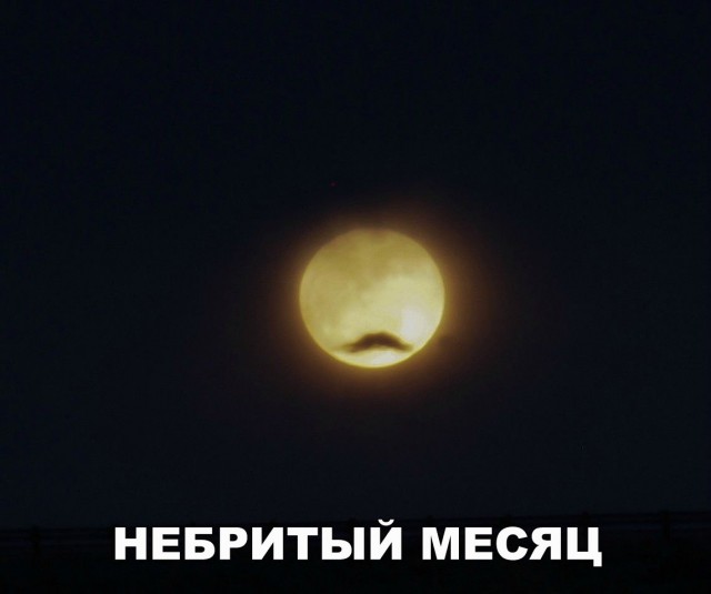 Смешные и не очень картинки из этих ваших интернетов