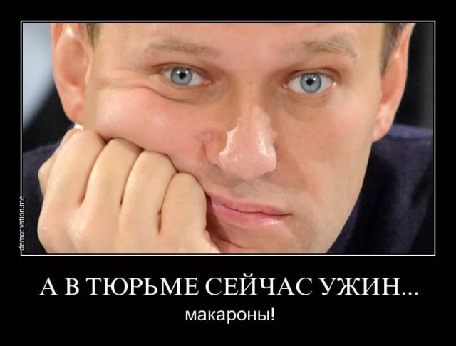 ФСИН призвала суд отправить Навального в исправительную колонию