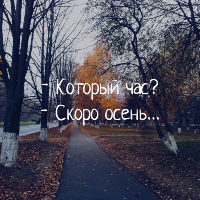 Подборка интересных и веселых картинок