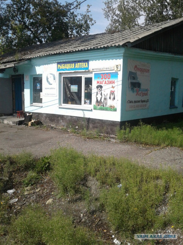 Смешные картинки и комментарии.