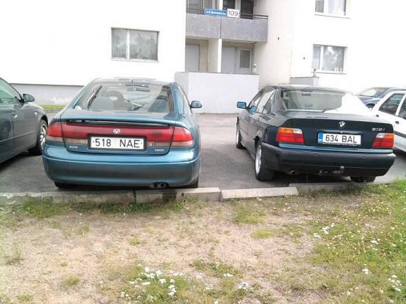 Найдите кота.