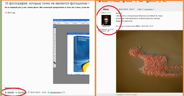 Фотографии, которые точно не являются фотошопом