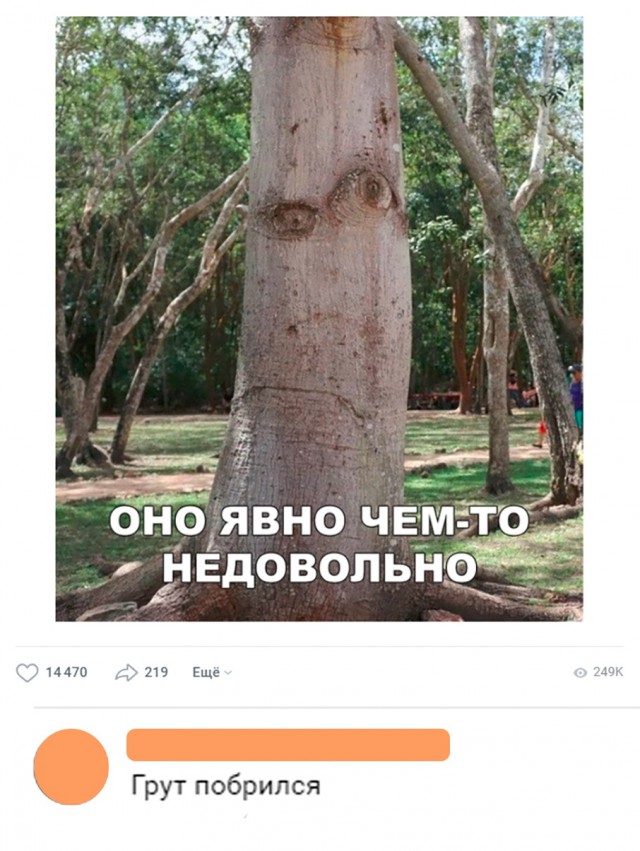 Нестандартный юмор