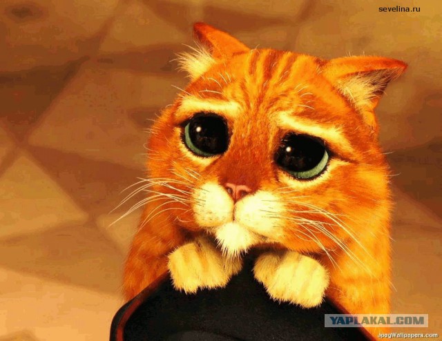 Наказание спамеров и борзых новорегов на ЯПе