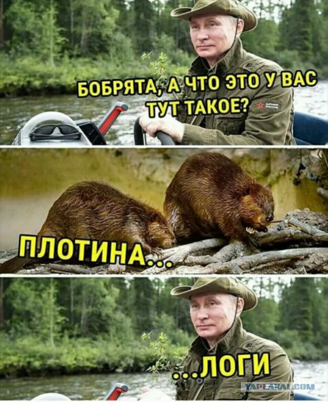 Когда обдирать уже не кого, но надо!