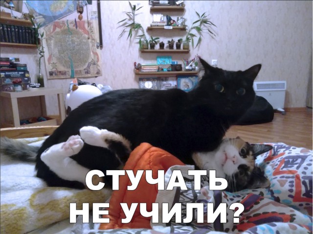 Нестандартный юмор