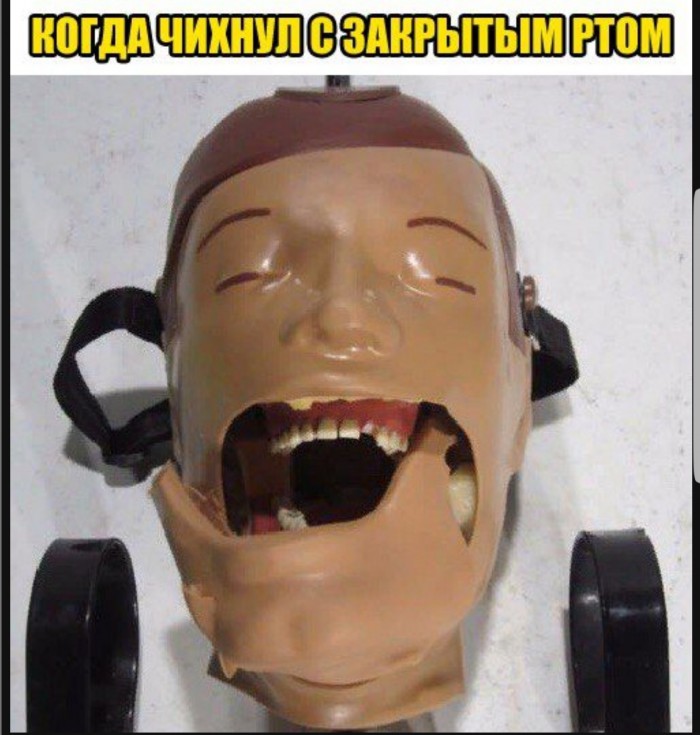 Анекдоты, соц-сети и картинки с надписями
