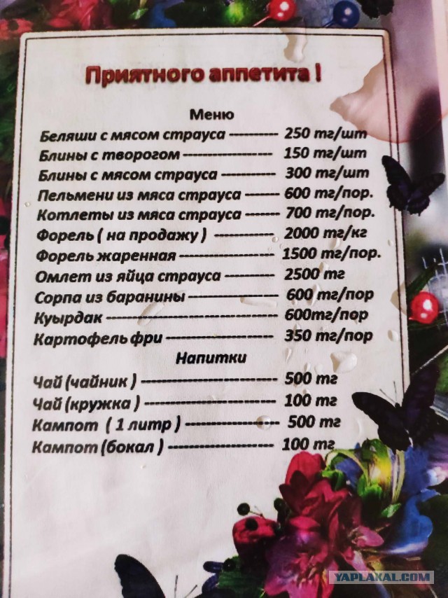Как я микижу добывал…