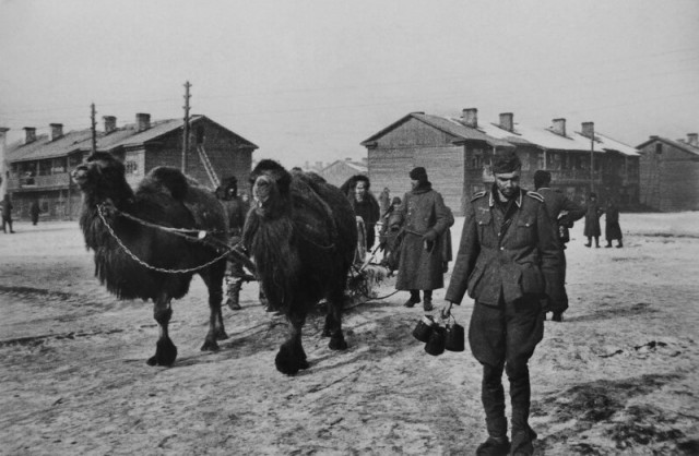 Фронт и тыл Великой Отечественной на редких снимках.