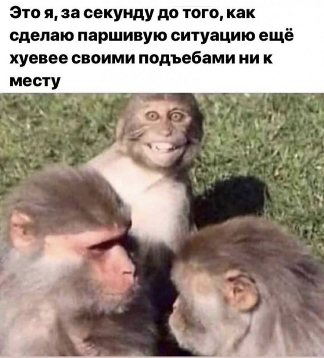 Немного картинок для настроения