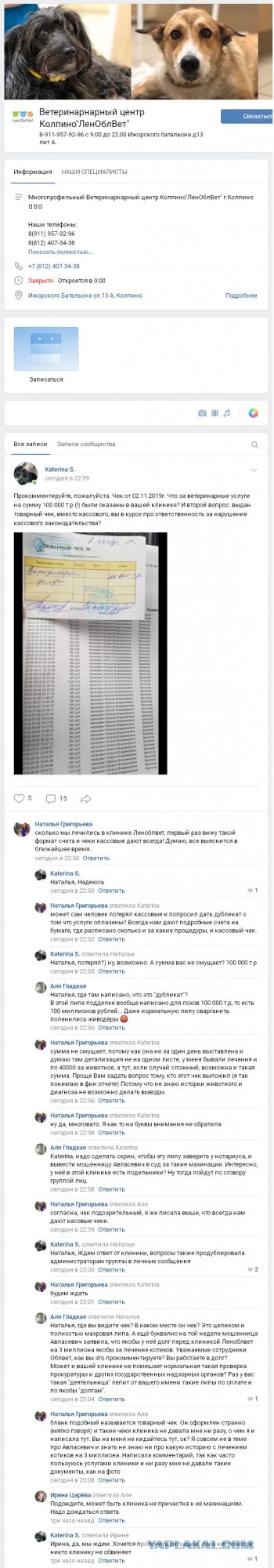 Помогите вернуть кота! Приют "Преданное сердце" украл кота и не отдает!-2