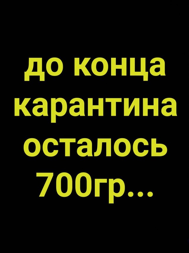 Бредзона 25.03.2020