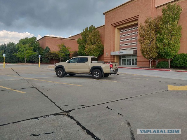 Чак Норрис расписался на пикапе Toyota. И вот что с ним стало