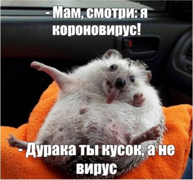 Чуток картинок 29.05.20