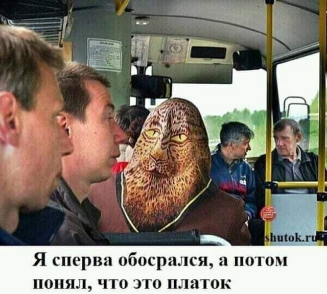Немного картинок для настроения 25.06.20