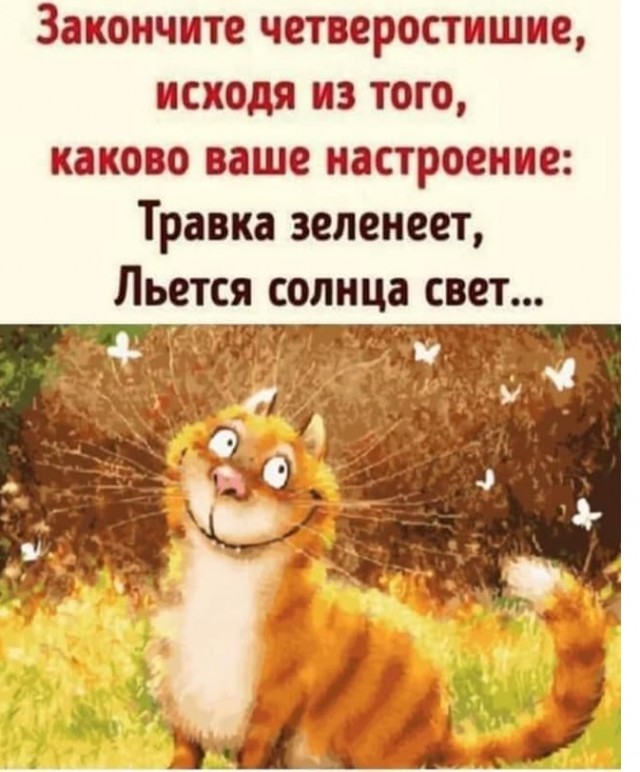 Так себе картинки 29.06.20