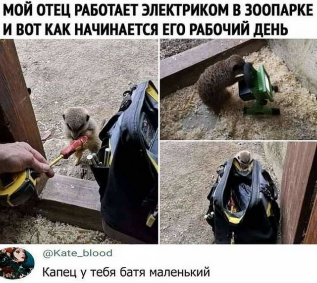 Так себе картинки 03.07.20