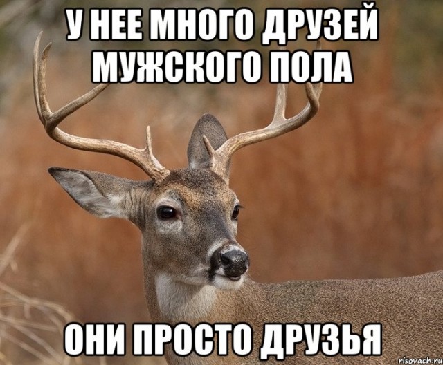 Муж пришел домой, а там любовник. Видео от первого лица