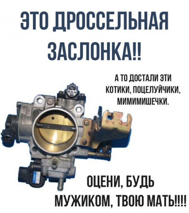 Немного картинок для настроения 06.11.20