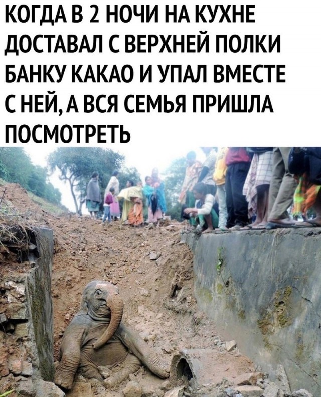 Картинки 26.12.2020
