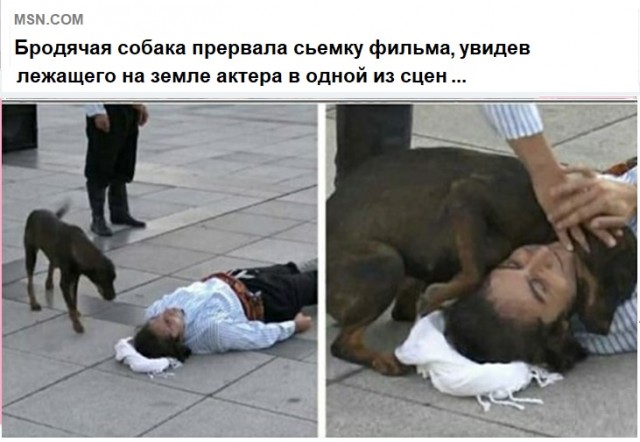 Картинки с надписями и всякие жизненные фразы 6.01.2021