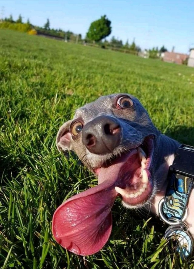 Удачный кадр. Фотопост