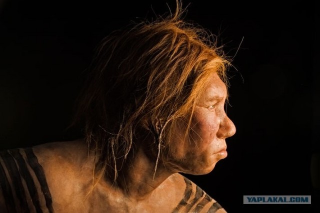 Miss Neanderthal