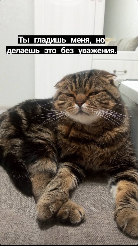 Крестный котец