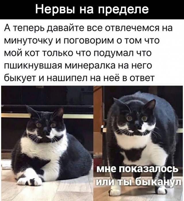 Так себе картинки 24.05.21