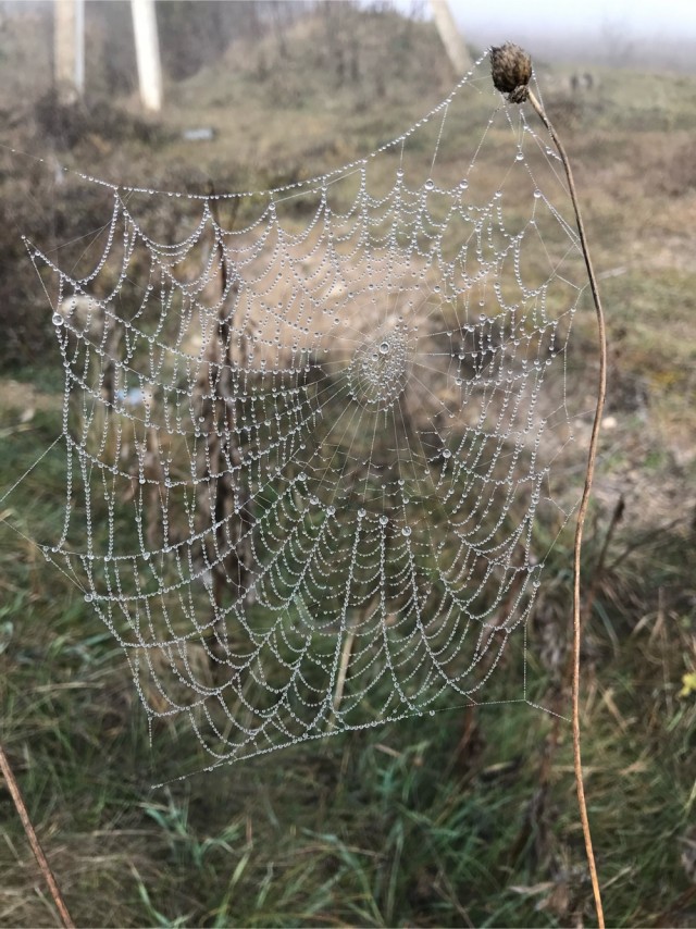 Моя мобильная фотография