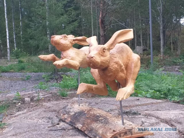 SASHAAIST. Как я провел лето