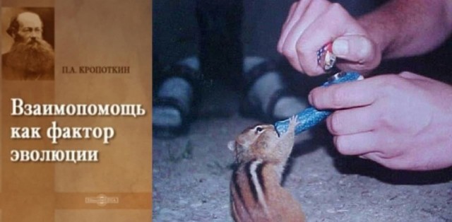 Четверг, а значит пора начинать деградировать...