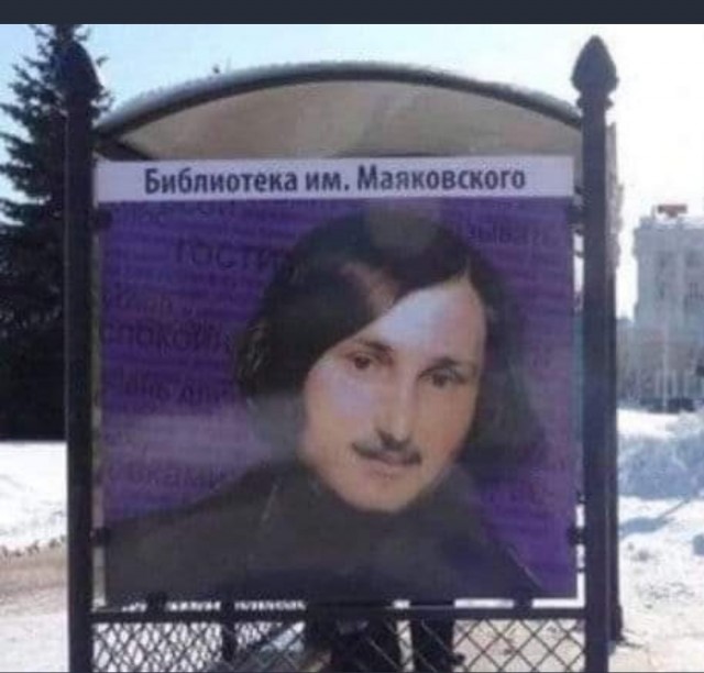 Тикток головного мозга. Хотя... откуда там мозг?