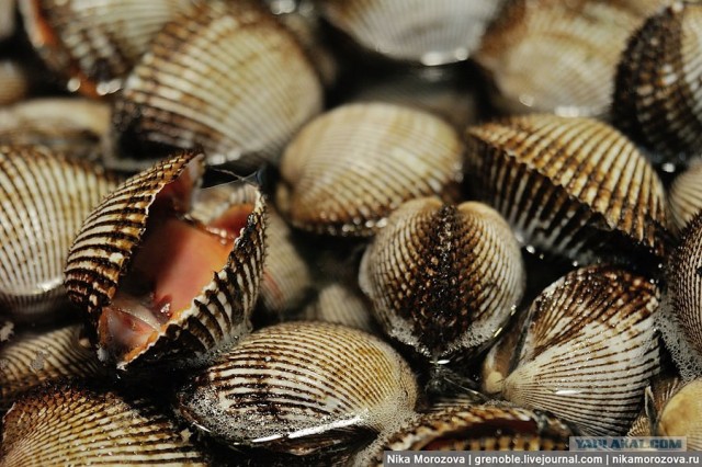 Сеул. Знаменитый рыбный рынок