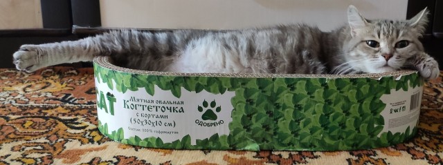 Знакомьтесь, Грргалгрр