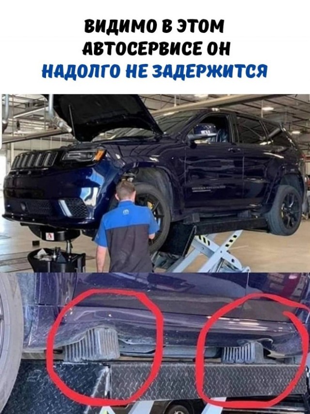 Картинки и мемы для настроения - 21