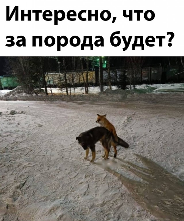 Картинки и мемы. Выходные близко...