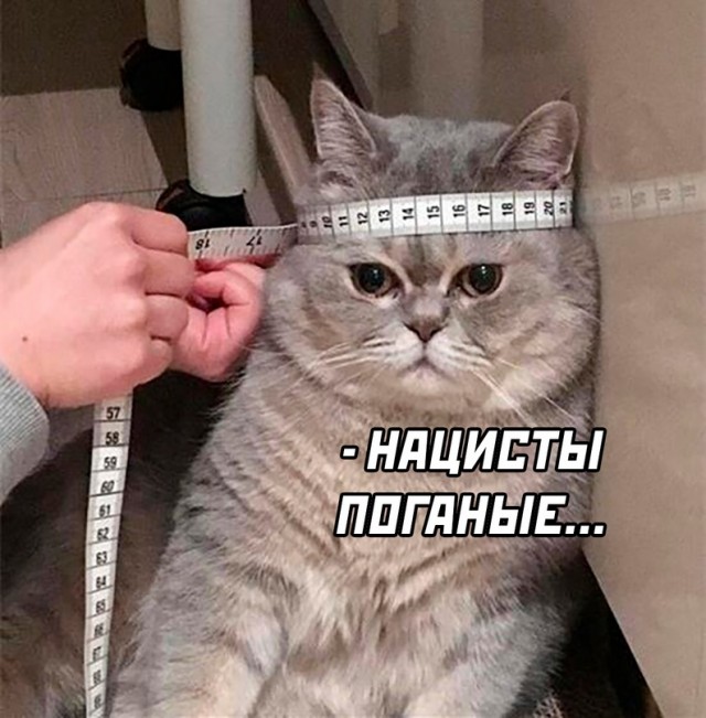 Немного картинок для настроения - 127