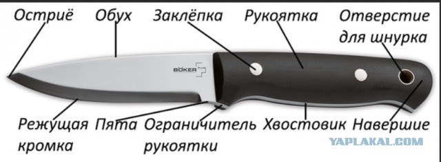 Кроссворд