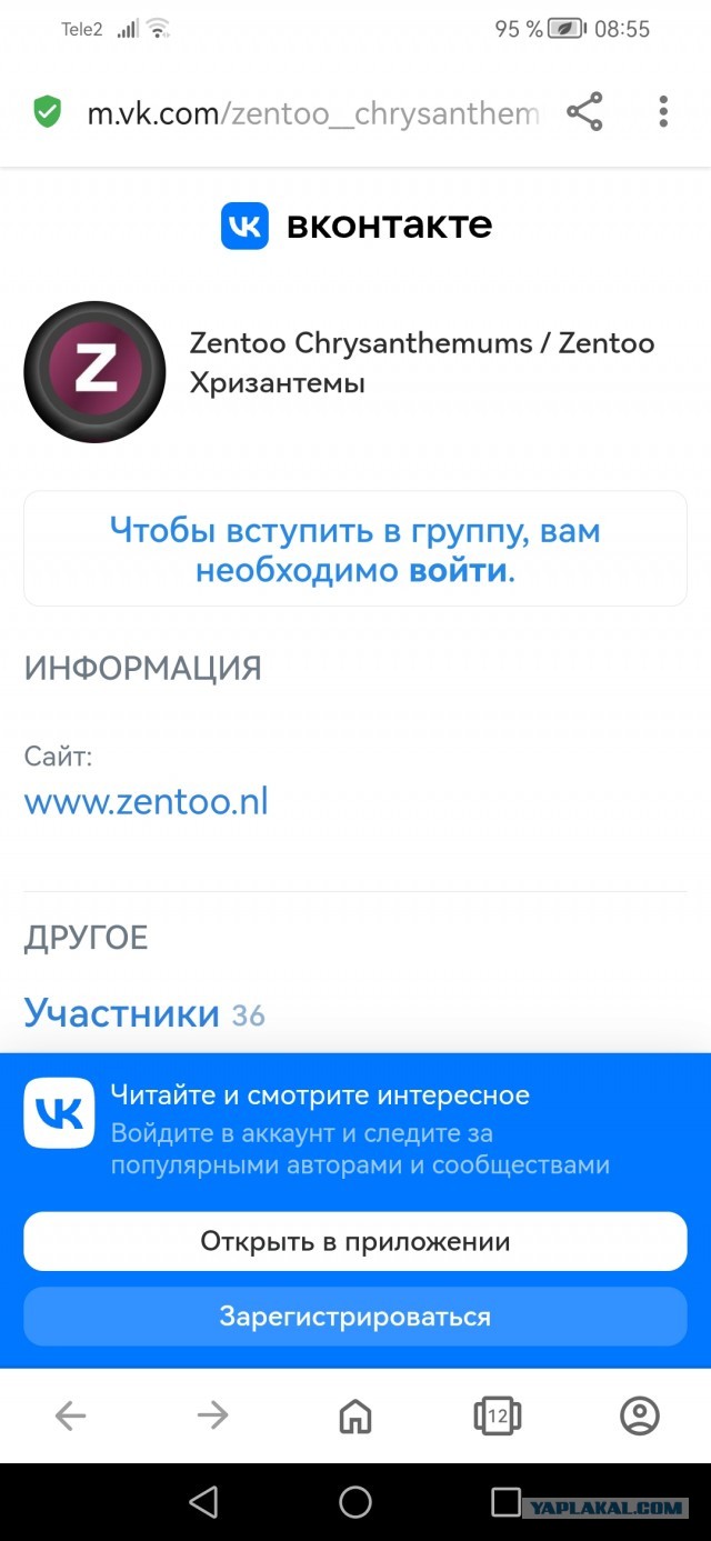 В России букву Z оскорбительно ассоциировать с зомби