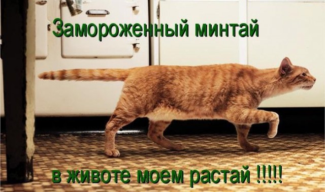 Победная поступь идиотизма по планете – том 10