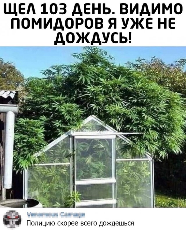 Весёлый полтишок 21.05.23