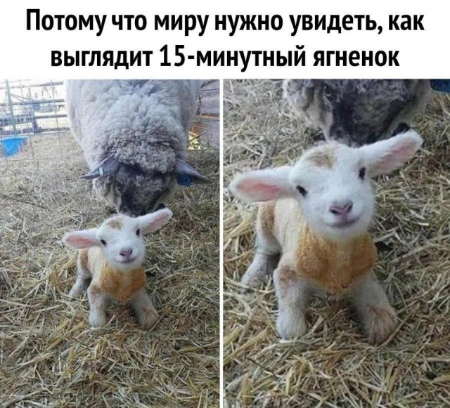 Народная меДИЧина 1021