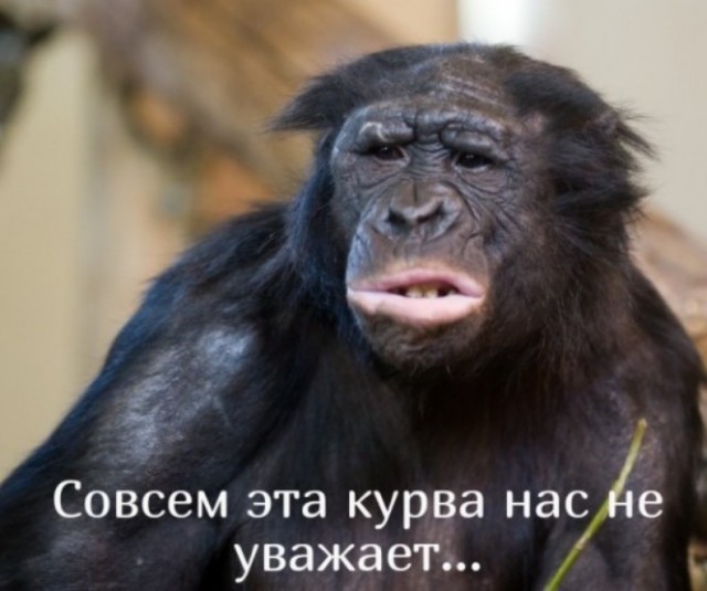 Профессиональная работа.