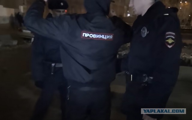 Говорят, сейчас пол-Питера в таких гуляет