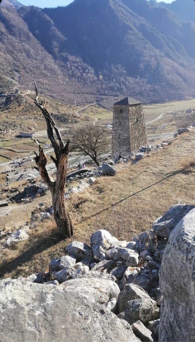 Красивые фото ЯПа