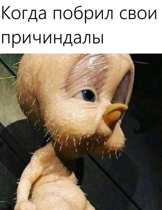 20 картинок